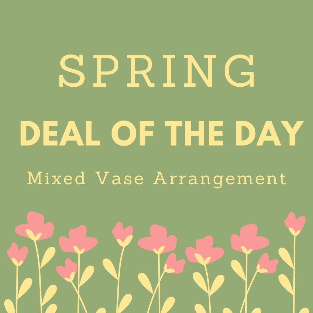 Deal of the Day